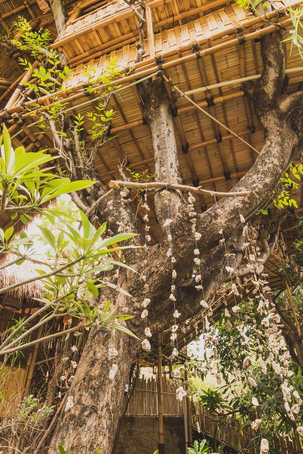 Eco Tree House Amed Hotel Bali Esterno foto