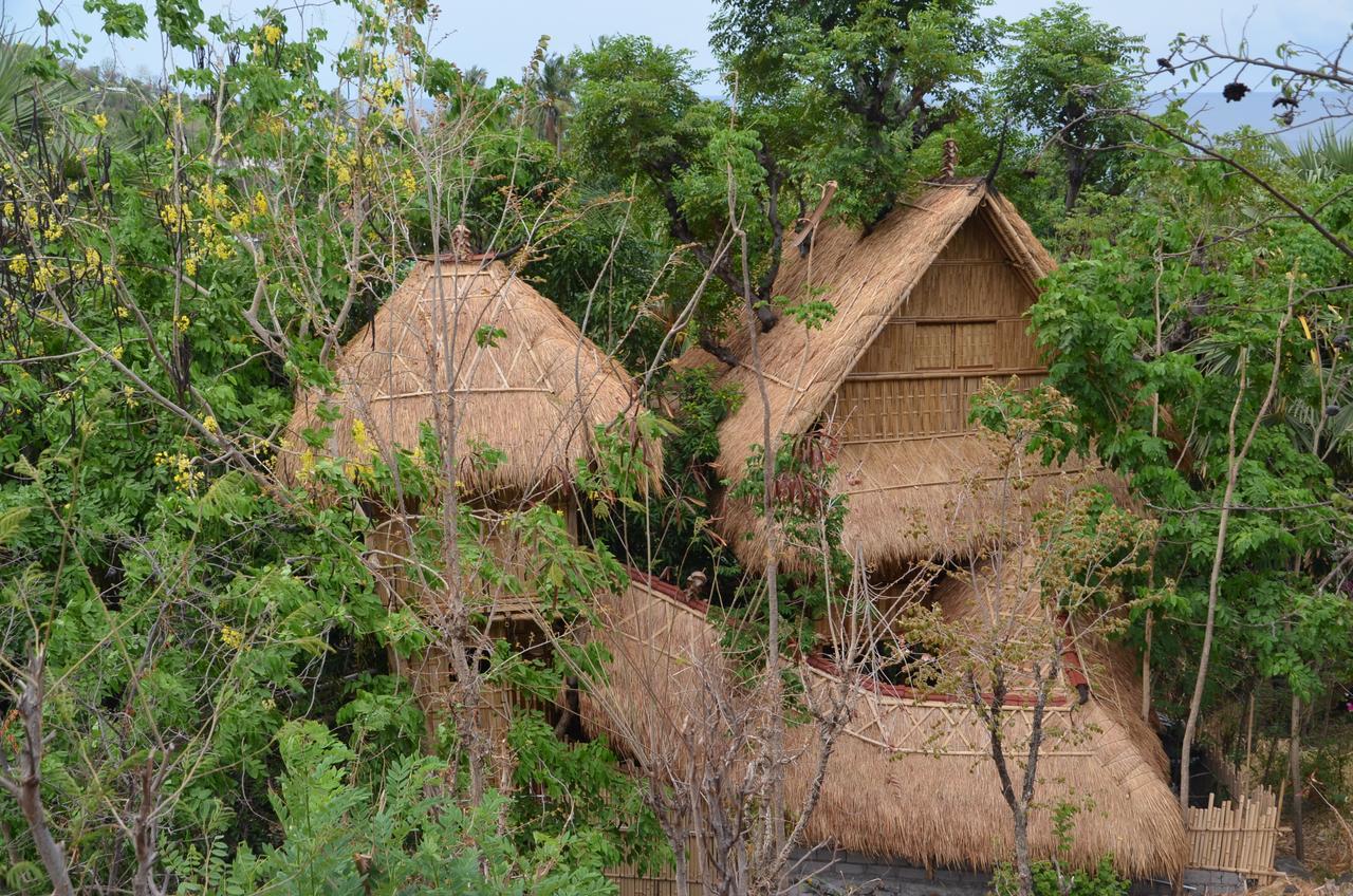 Eco Tree House Amed Hotel Bali Esterno foto