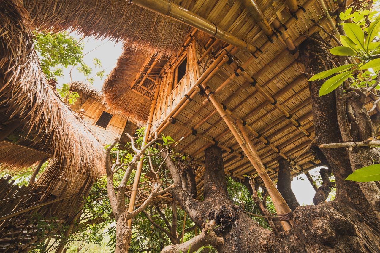 Eco Tree House Amed Hotel Bali Esterno foto