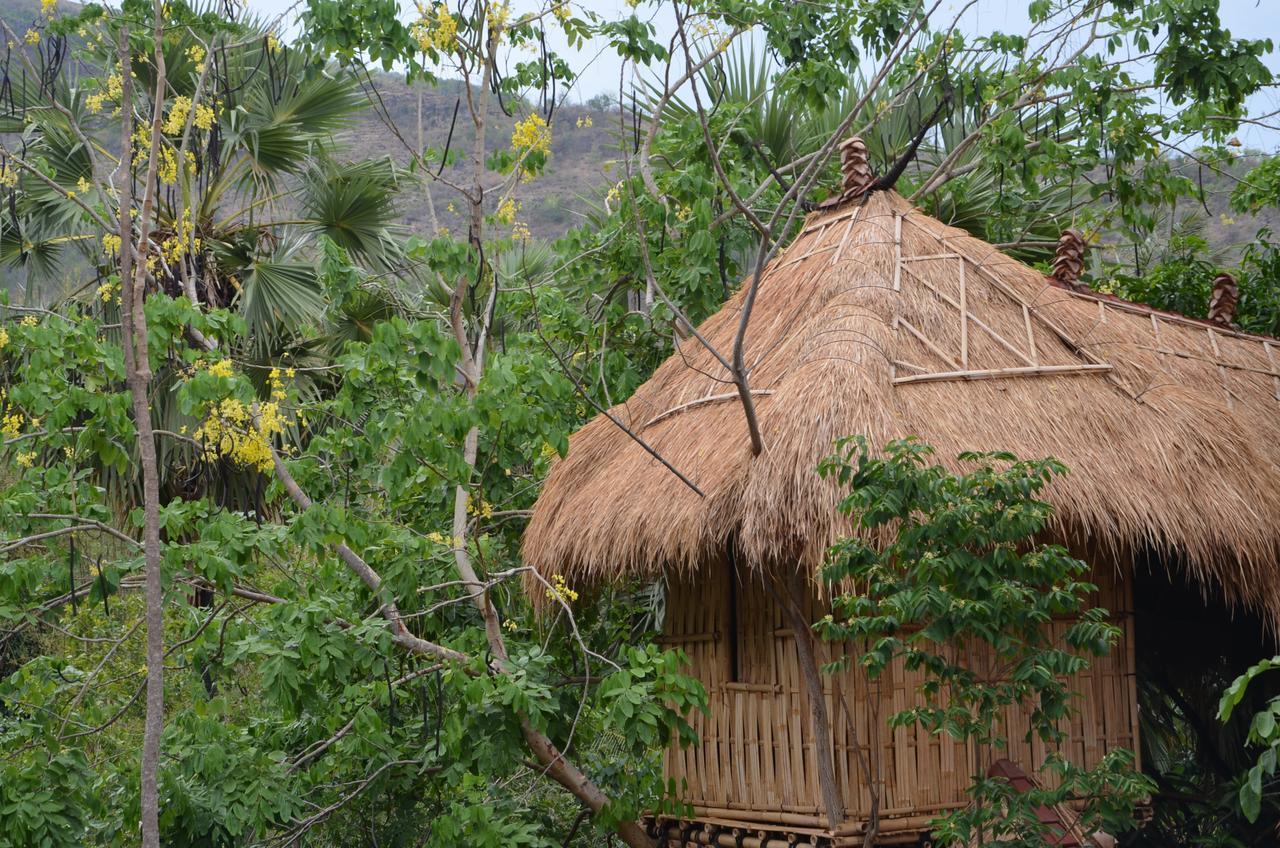 Eco Tree House Amed Hotel Bali Esterno foto